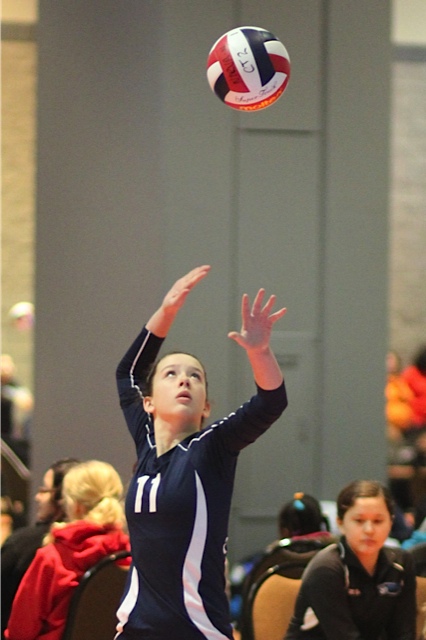 Ospreys Serving